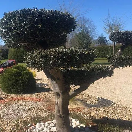 La Cottiniere Dreffeac