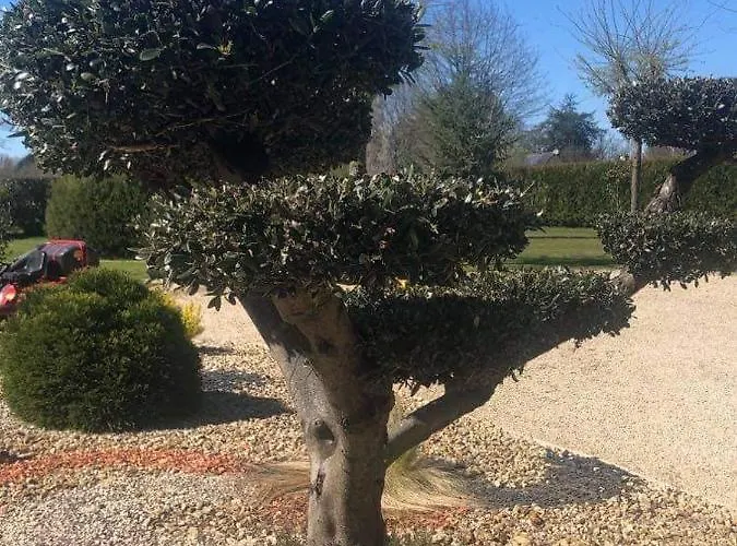 La Cottiniere Dreffeac